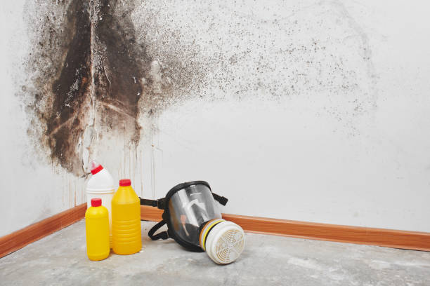 Franklin Lakes, NJ Mold Removal Company