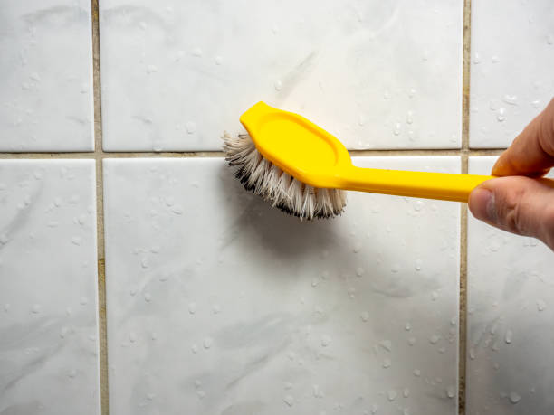 Best Mold Removal Near Me  in Franklin Lakes, NJ