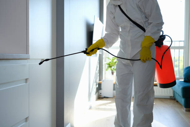 Best Mold Damage Repair  in Franklin Lakes, NJ