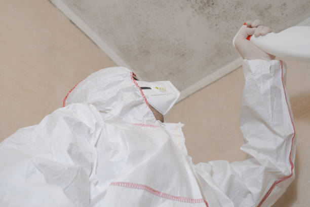 Best Attic Mold Removal  in Franklin Lakes, NJ