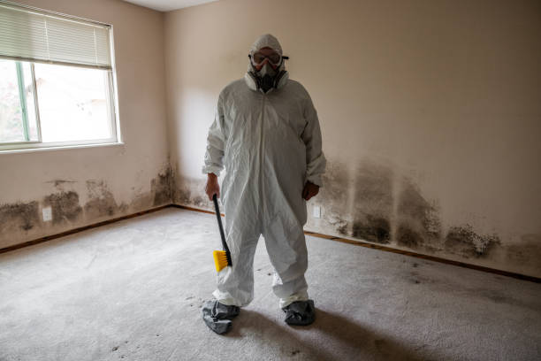 Best Home Mold Removal  in Franklin Lakes, NJ